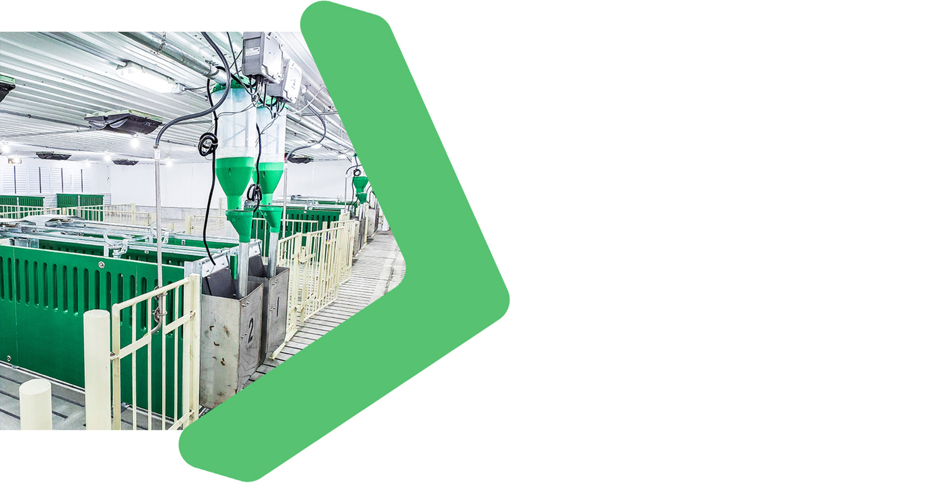 MOS---20_11-_-Maquettes-Site-Web_Swine_Groupe_Housing_05